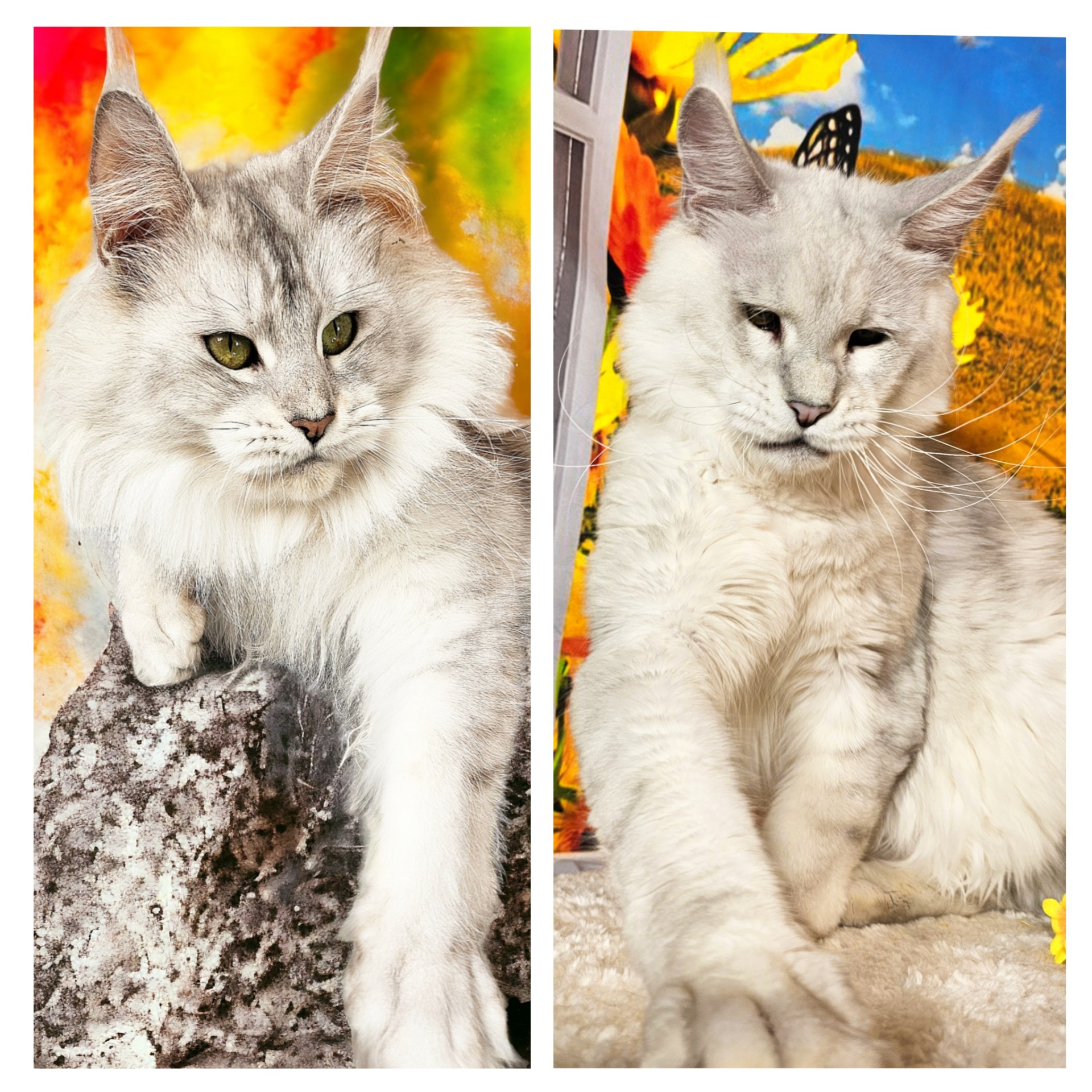 YUKI X JON SNOW