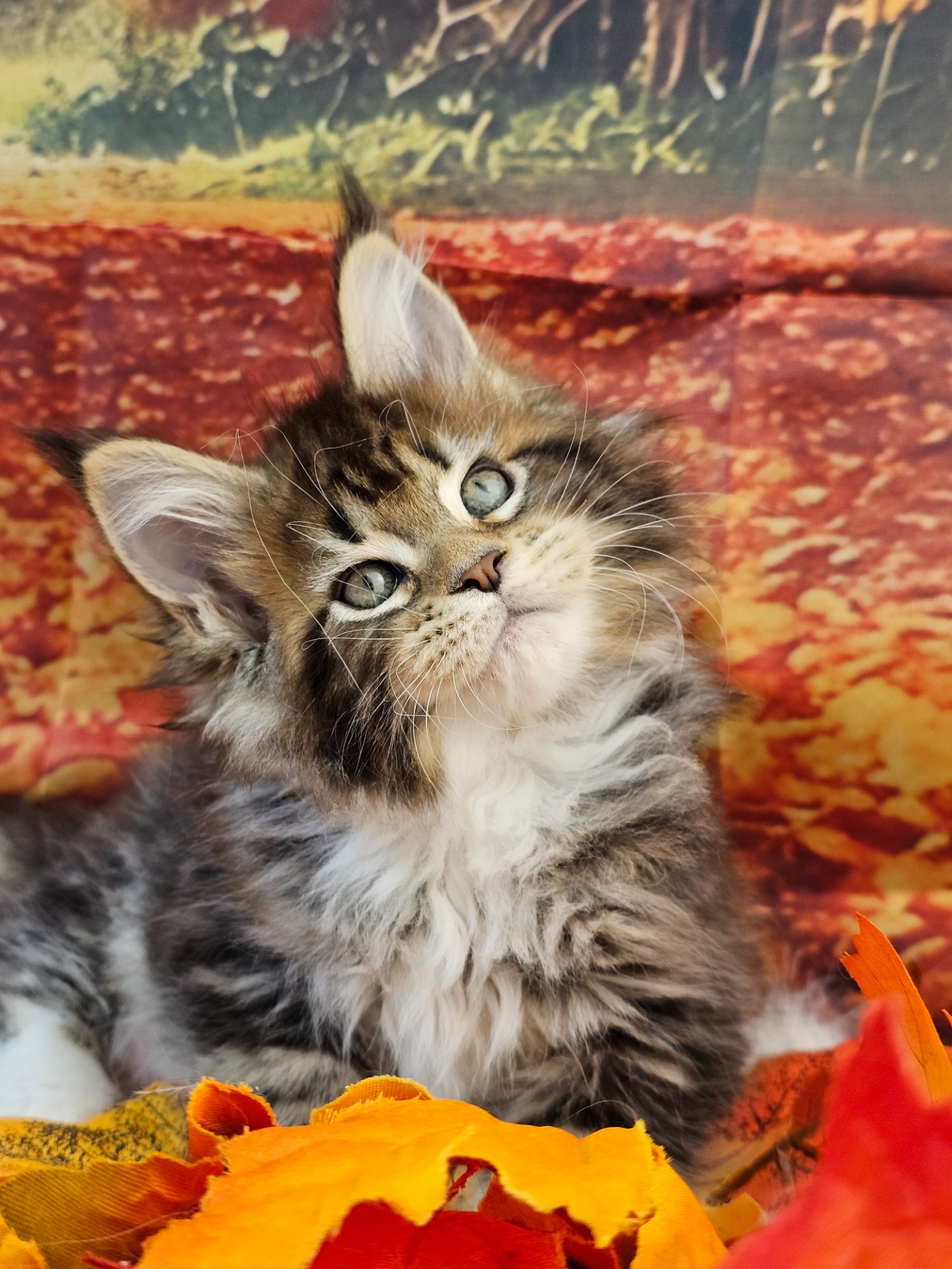 ⛔🩷MIRANDA HOBBES ALIAS' EMPIRE🩷⛔💗N22 09 