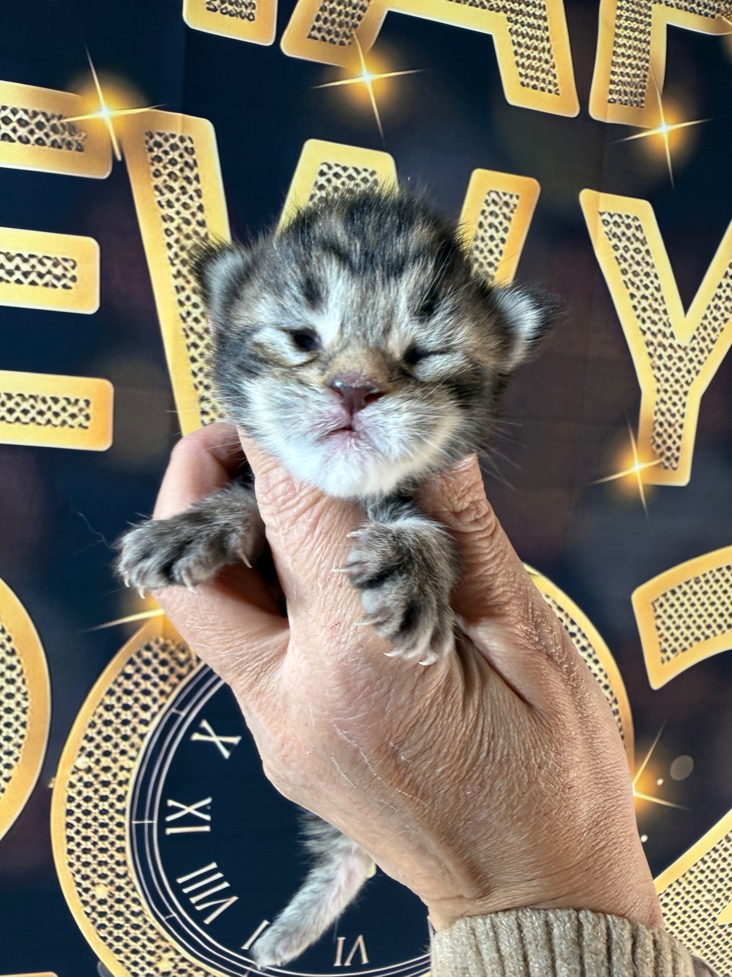 🩷BEATRIX KIDDO🩷 (N22)