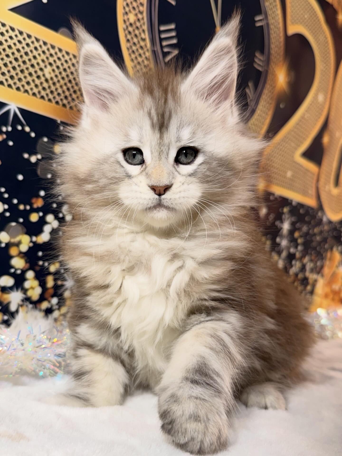 🩷ARWEN ALIAS' EMPIRE 🩷 NS22