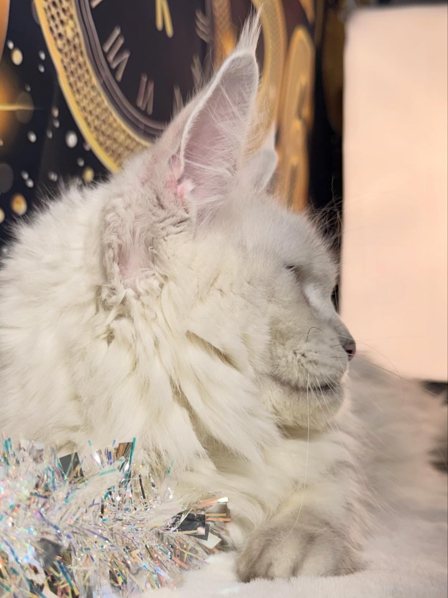 SANSA STARK ALIAS' EMPIRE