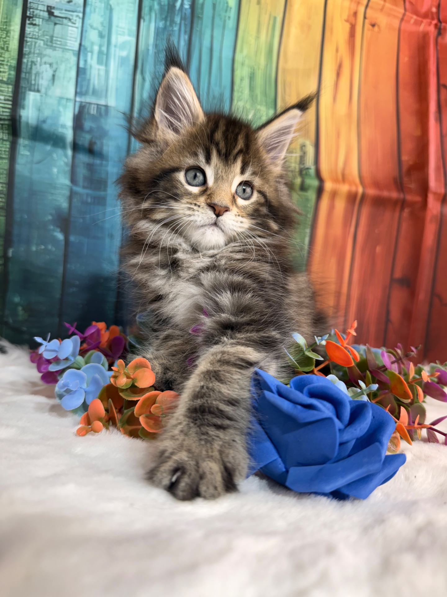 ⛔️🩷BEATRIX KIDDO🩷⛔️ (N22)